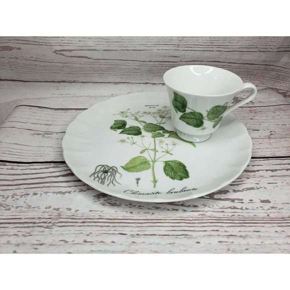 Vintage Hocquart Del Et Sculp Pl 95 Clematite Brulante Tea Cup And Plate Set - Picture 2 of 12